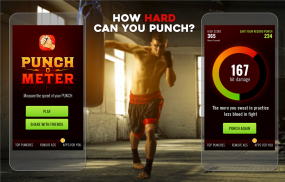 Punch Hit Meter screenshot 1