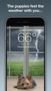 Weather Puppy - App & Widget screenshot 1