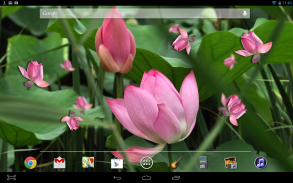 Lotus Live Wallpaper screenshot 2