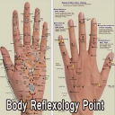 Body Reflexology Point Icon