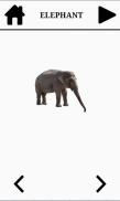 Flashcard for kids screenshot 3