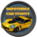 Impossible Car Stunt || Stunt Cars