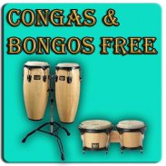 Congas & Bongos screenshot 2