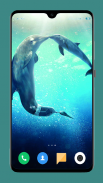 Dolphin Wallpaper HD screenshot 4