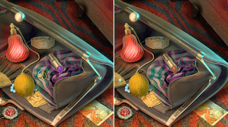 Find Differences: Hidden Items screenshot 1