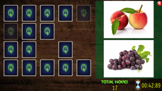 All Vegetals Pairs Memory Game screenshot 2