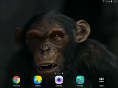 Talking Monkey Live Wallpaper screenshot 9