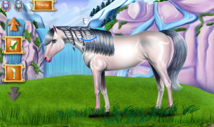 العناية بالحصان بضفائر اللبدة screenshot 4