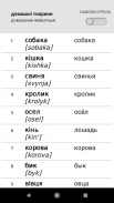 Учим украинские слова со Смарт-Учителем screenshot 2