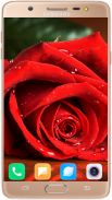 Red Rose Wallpaper 4K screenshot 4