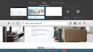 Vewd Browser screenshot 0