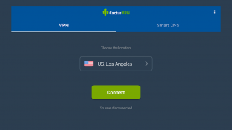 CactusVPN - VPN and Smart DNS services screenshot 9
