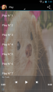 Ferret souქრცვინი ხმებიnds screenshot 0