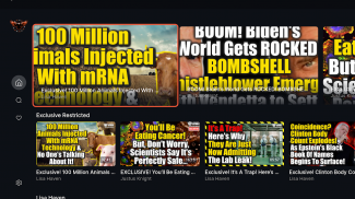 Restricted Republic screenshot 3