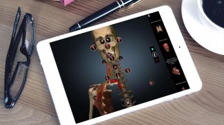 Anatomy Learning - 3D Anatomy screenshot 12