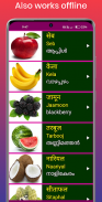 Learn Hindi from Malayalam screenshot 1
