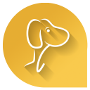 ePets - Pets' Super App Icon