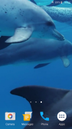 Дельфины Живые Обои screenshot 2