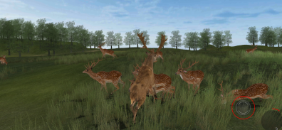 Life Of Deer Remastered screenshot 6