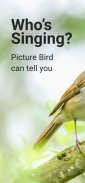 Picture Bird - Identificar Ave screenshot 0