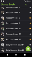 Raccoon Sounds screenshot 0