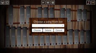 Professional Glockenspiel screenshot 0
