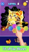 Jigsaw Hexa Puzzle - Block Hexa Puzzle Game screenshot 5