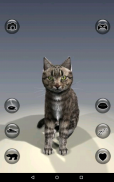 Falando gato Realidade screenshot 4