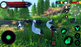 The White Stork screenshot 11