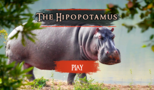 The Hippo screenshot 2