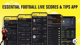 310Scores: Live Scores & Tips screenshot 2