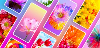 Flower Wallpapers 4K