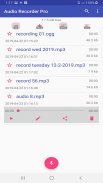 Audio Recorder Pro screenshot 1