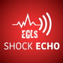 EGLS - Shock Echo