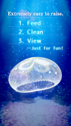 Jellyfish Pet screenshot 0