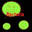 Bacteria