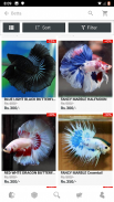 AQUAStore - Online Aquarium and Pet Shop screenshot 5