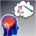 Memory Games: memory test , Brain Training Icon