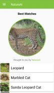 NatureAi: Nature Identification - Nature Scanner screenshot 0