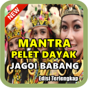 Mantra Pelet Dayak Jagoi Babang