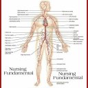 Fundamental Of Nursing Icon