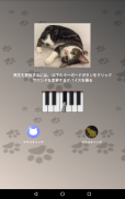 猫ピアノ screenshot 2