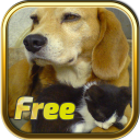 Free Dogs and Cats Puzzles Icon