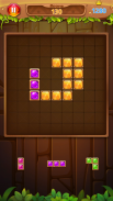 Block Puzzle : Master 2020 screenshot 0