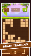 Puzzle de Blocos mundo antigo screenshot 1