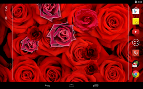 Roses Live Wallpaper screenshot 1