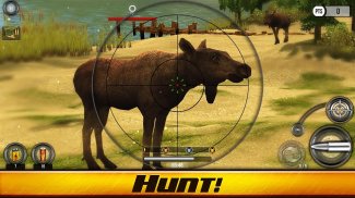 Wild Hunt: лов игра 3D screenshot 7