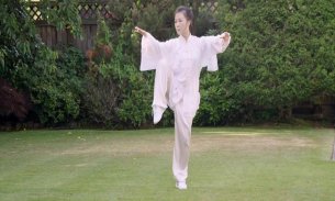 Tai Chi for Beginners 48 Form screenshot 14