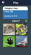 Learn Animals Names in English Pictures Words Quiz screenshot 6