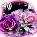 Roses Diamond Dew